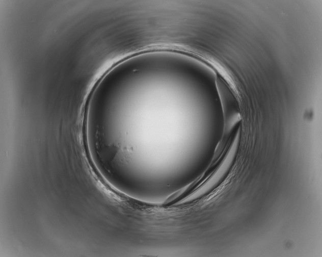 X0000096391102200801241256