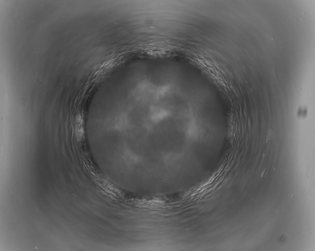 X0000096391106200801241255