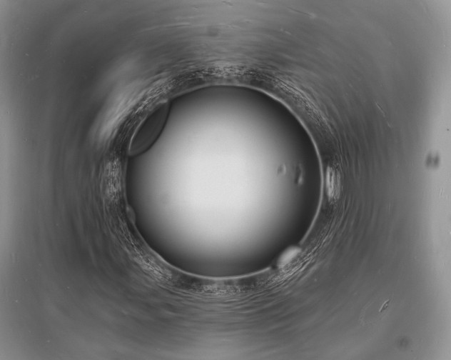 X0000096391107200801241255