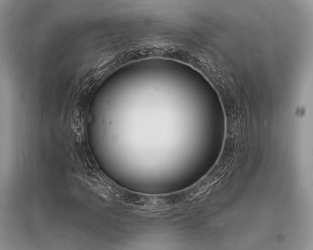 X0000096391109200801241255