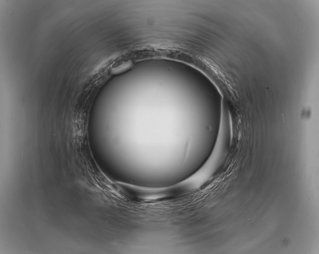 X0000096391110200801241255