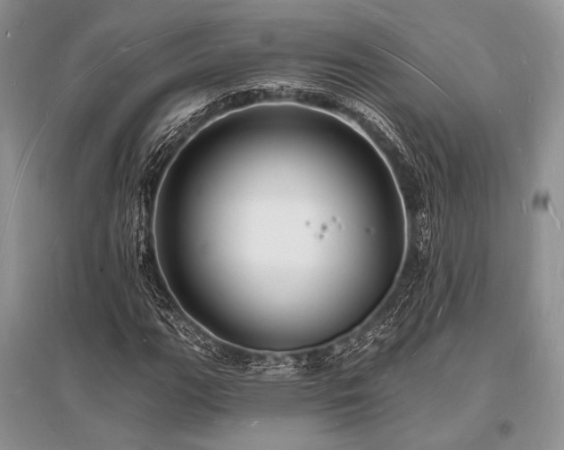 X0000096391111200801241255