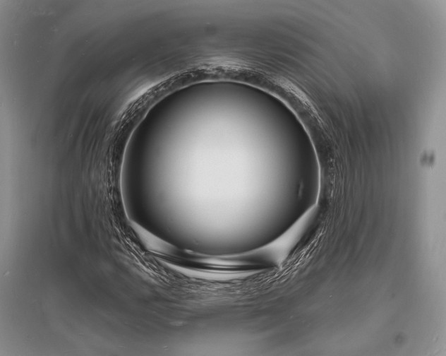 X0000096391112200801241255