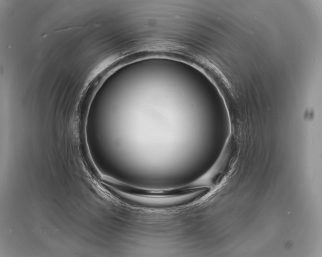 X0000096391114200801241255