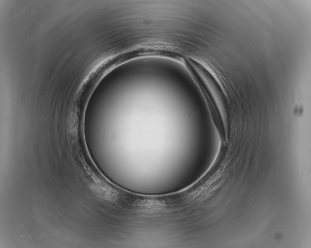 X0000096391115200801241255