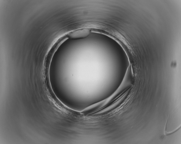 X0000096391116200801241255
