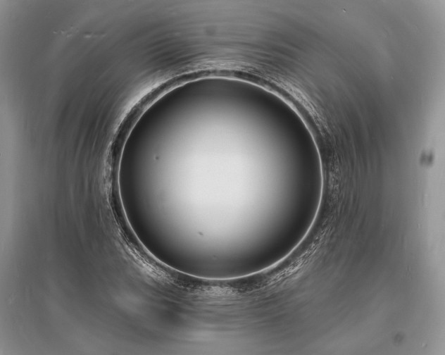X0000096391119200801241255