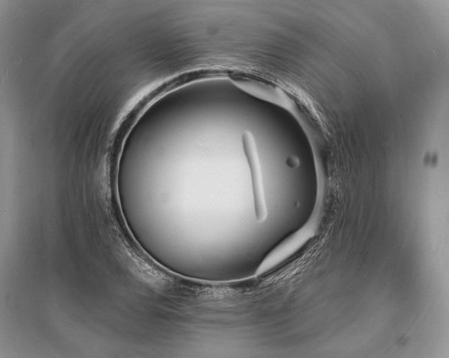 X0000096391120200801241255