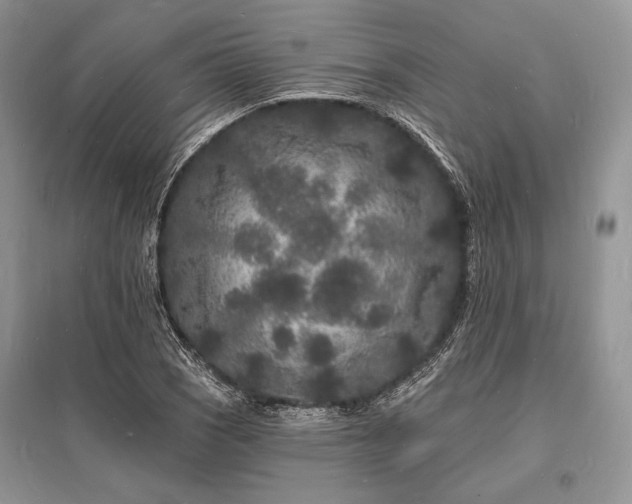 X0000096391121200801241255
