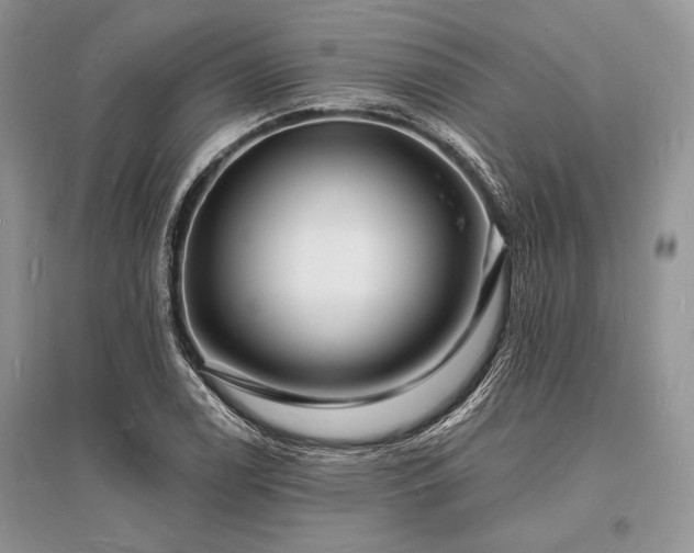X0000096391122200801241255
