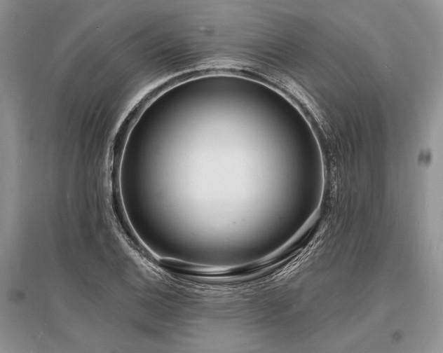 X0000096391124200801241255