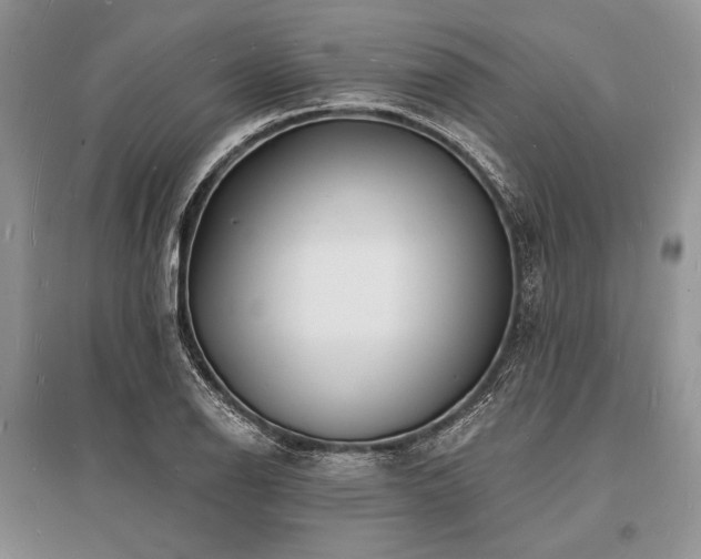 X0000096391126200801241255