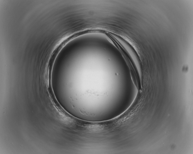 X0000096391127200801241255