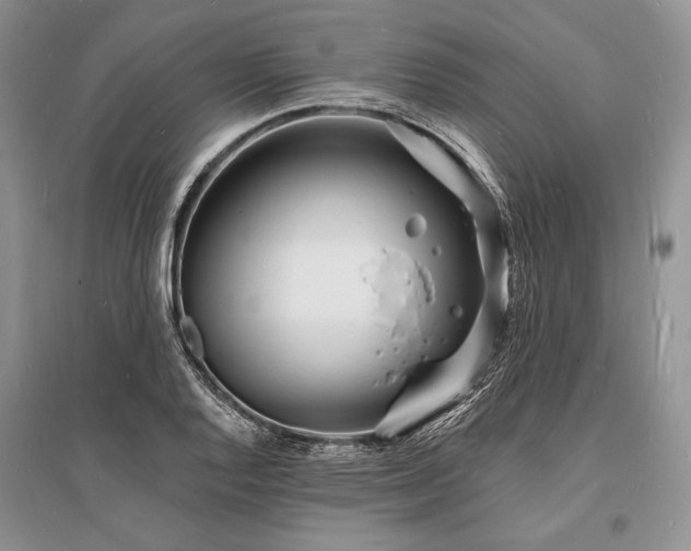 X0000096391128200801241255