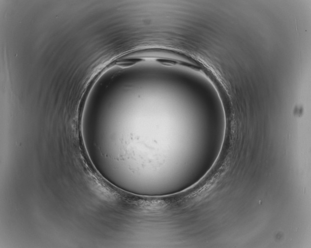 X0000096391129200801241255