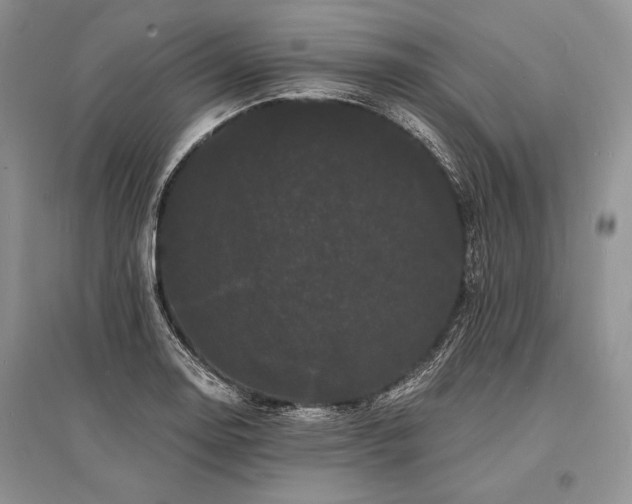 X0000096391130200801241255