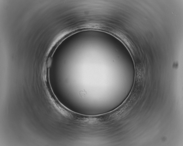 X0000096391131200801241255