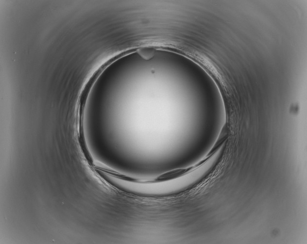 X0000096391132200801241255