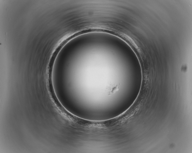 X0000096391133200801241255