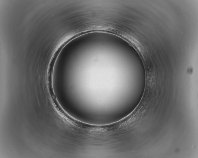 X0000096391135200801241255