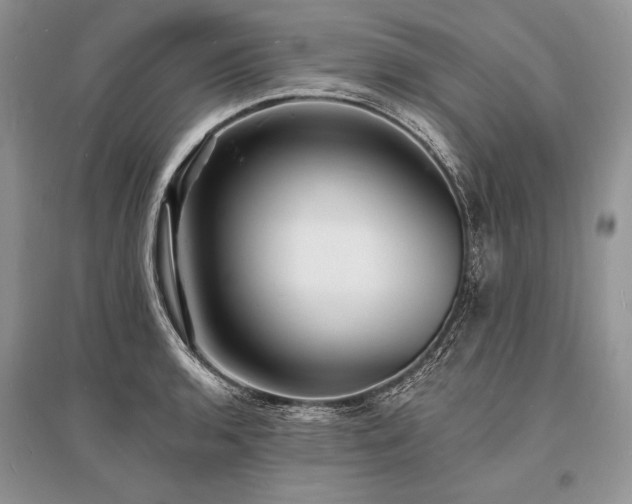 X0000096391136200801241255