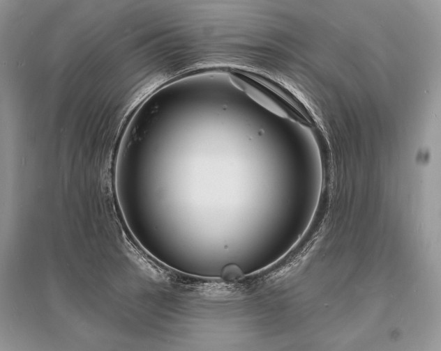 X0000096391137200801241255