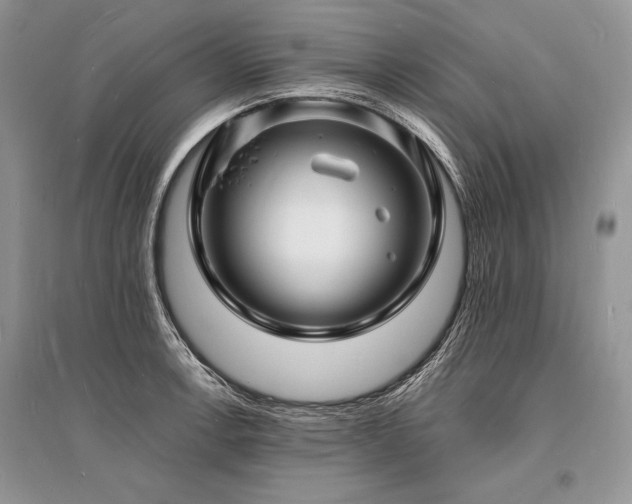 X0000096391138200801241255