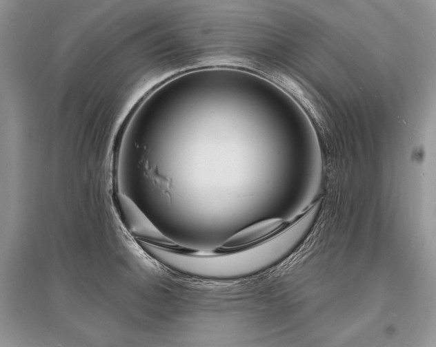 X0000096391140200801241255