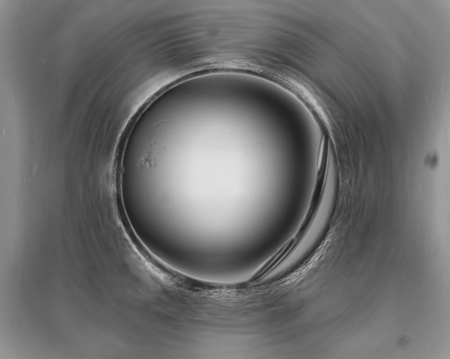X0000096391141200801241255