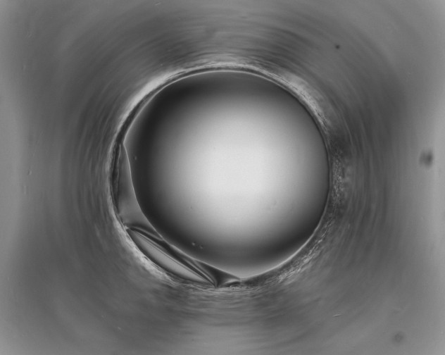 X0000096391142200801241255