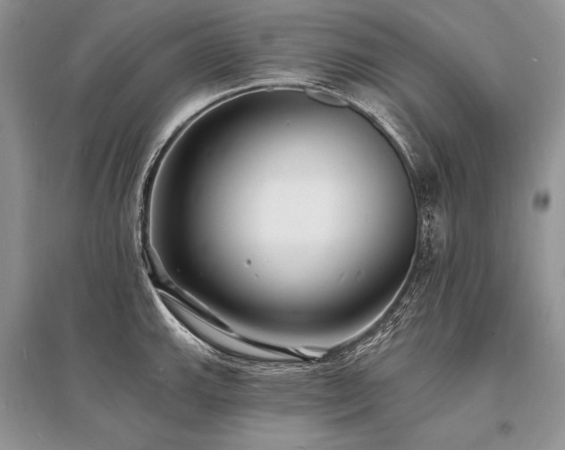 X0000096391143200801241255