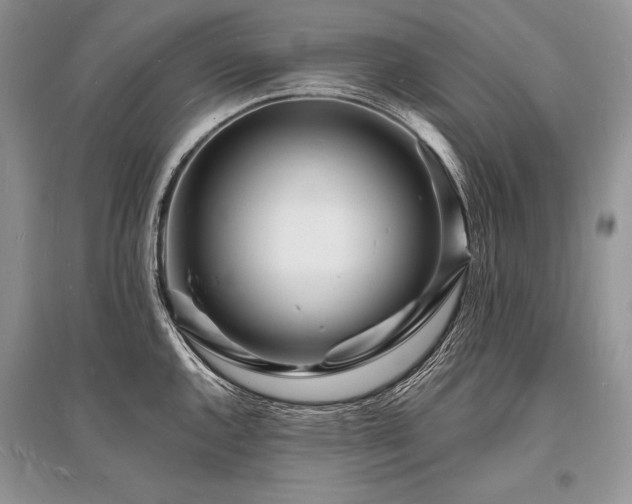X0000096391144200801241255