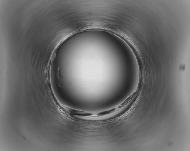 X0000096391145200801241255