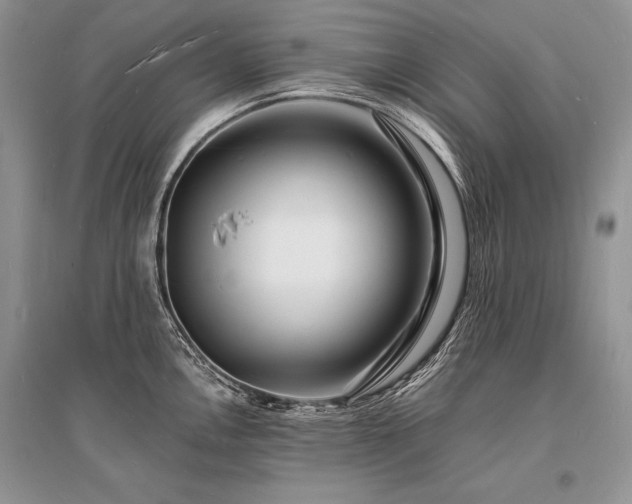 X0000096391146200801241255