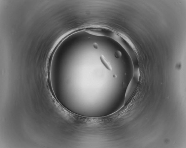 X0000096391148200801241255