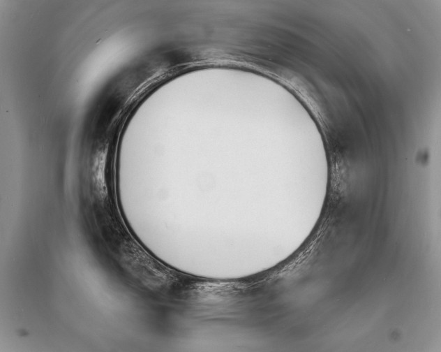 X0000096391150200801241255