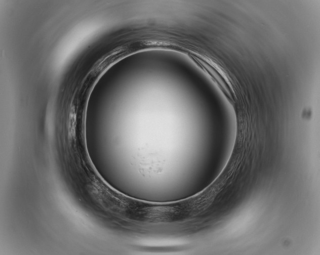 X0000096391151200801241256
