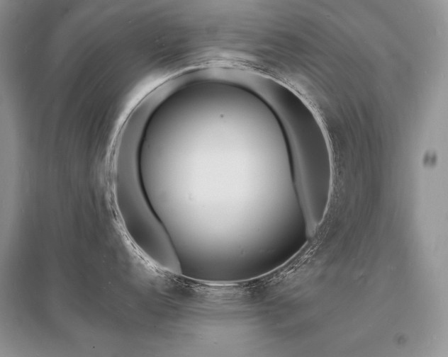 X0000096391152200801241256