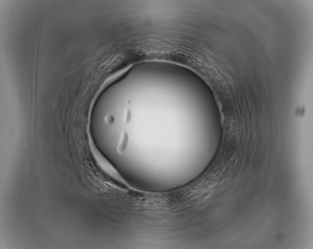 X0000096391153200801241255