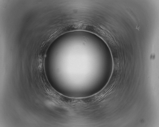 X0000096391154200801241255