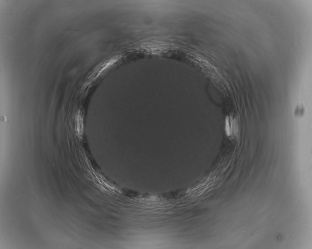X0000096391155200801241254