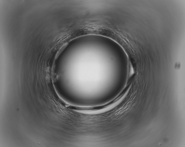 X0000096391156200801241254