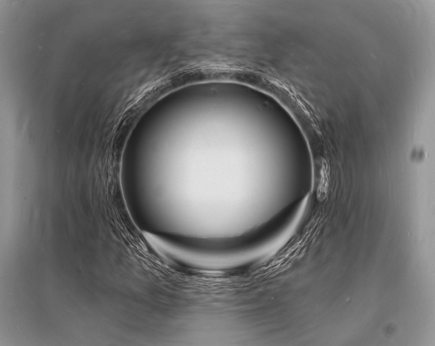 X0000096391157200801241254