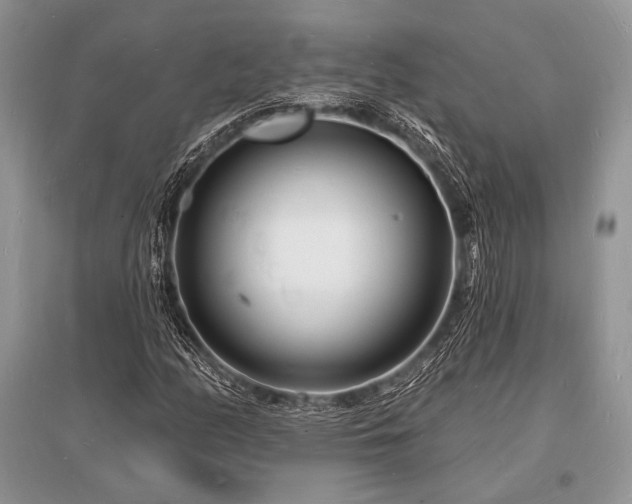X0000096391158200801241254