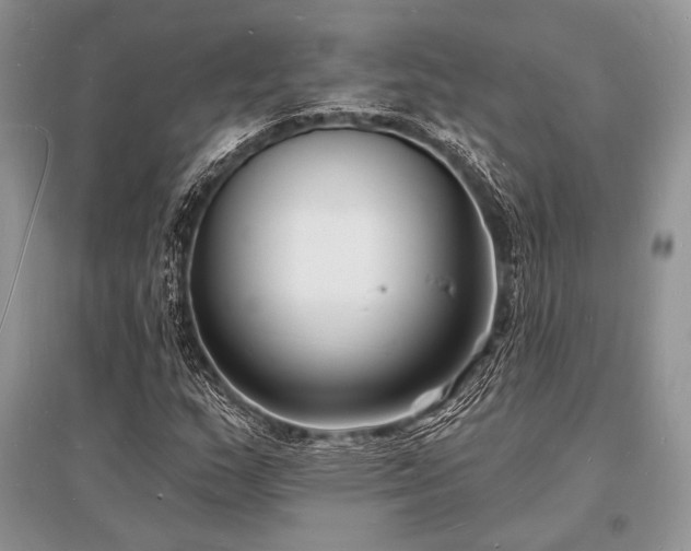 X0000096391159200801241254