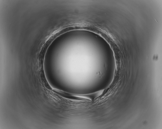 X0000096391160200801241254