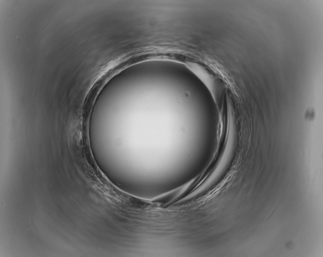 X0000096391165200801241254