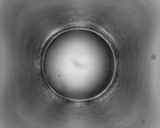 X0000096391166200801241254
