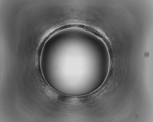 X0000096391167200801241254