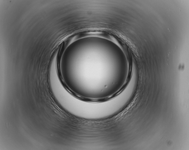 X0000096391169200801241254